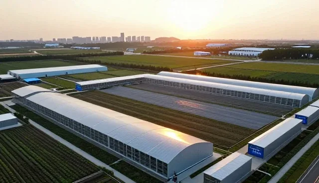 企业数据整理：选型时需关注的核心要素